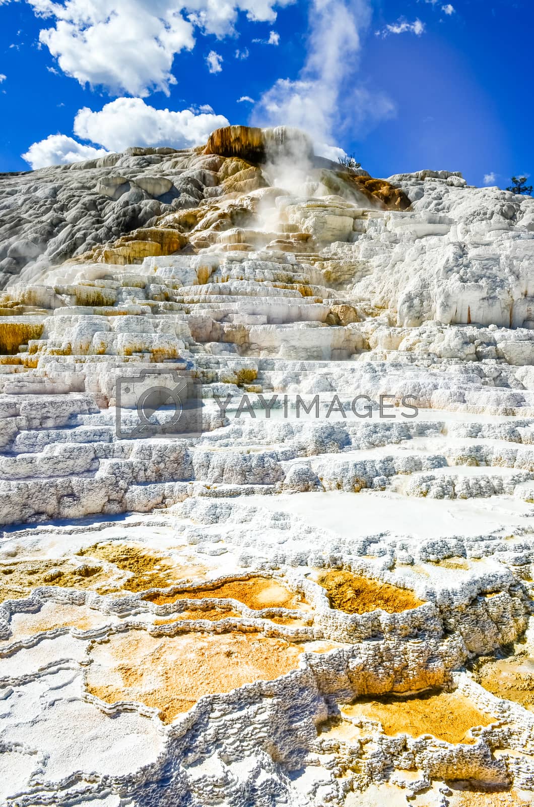Royalty free image of Detail view of beautiful geothermal land in Yellowstone NP by martinm303