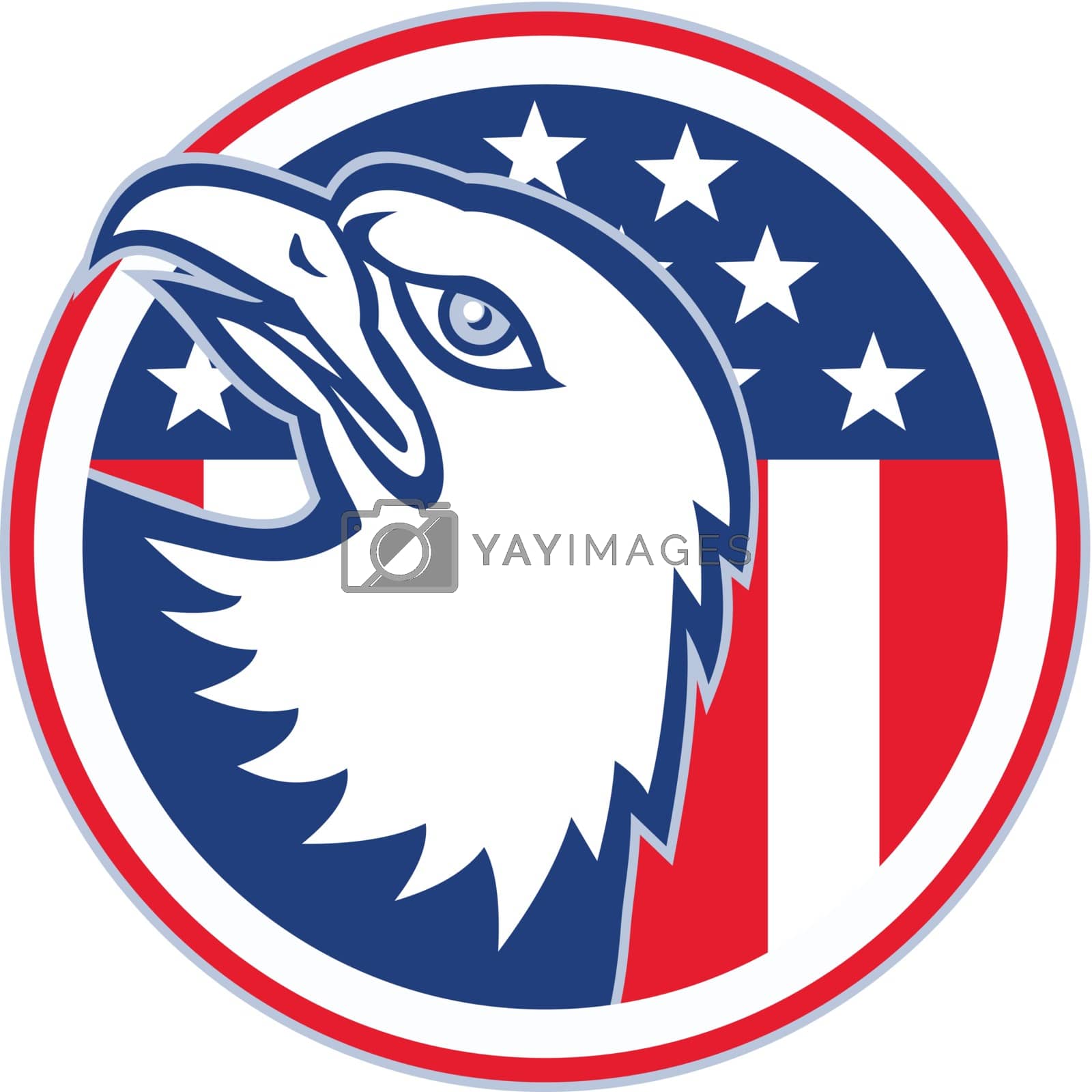 Royalty free image of eagle head american stars stripes flag by patrimonio