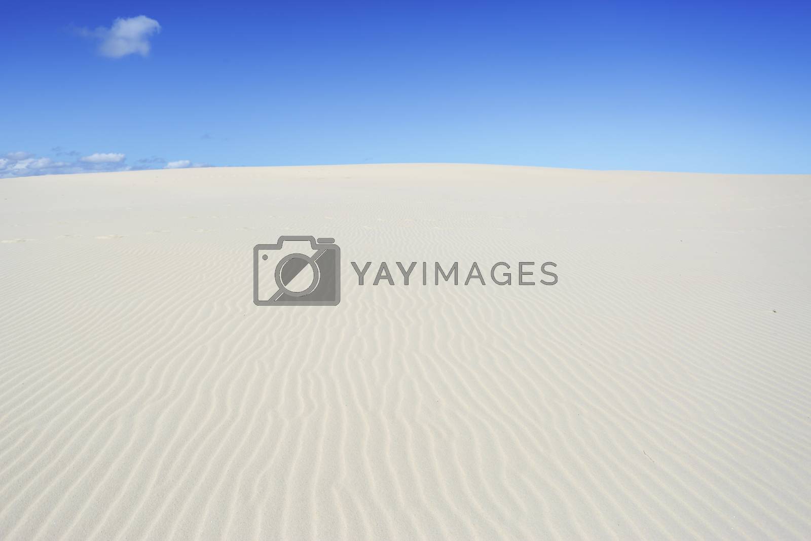 Royalty free image of Miles and Miles of Sand at Dark Point by lovleah