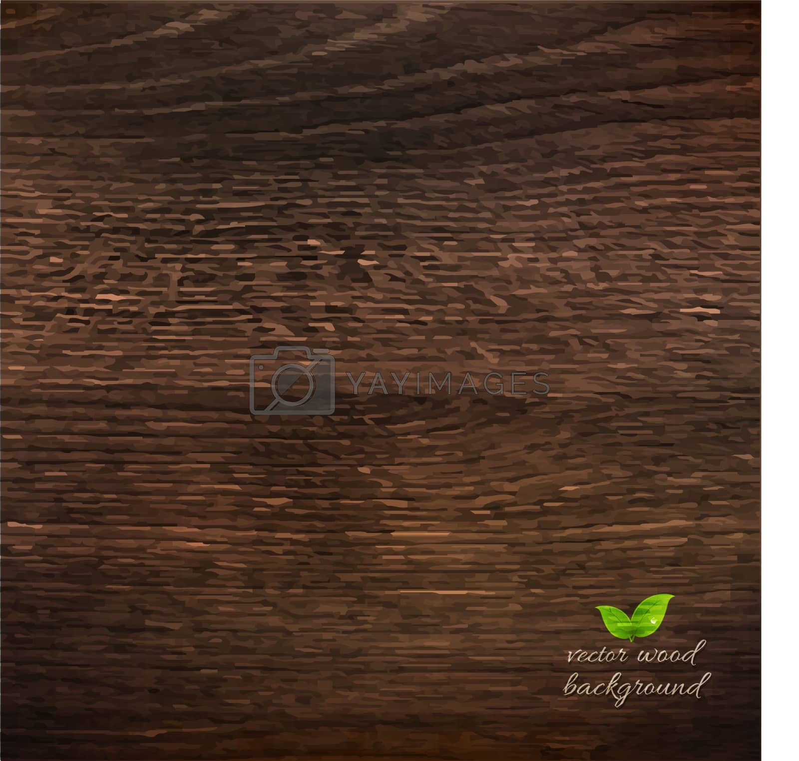 Royalty free image of Wooden Texture by adamson