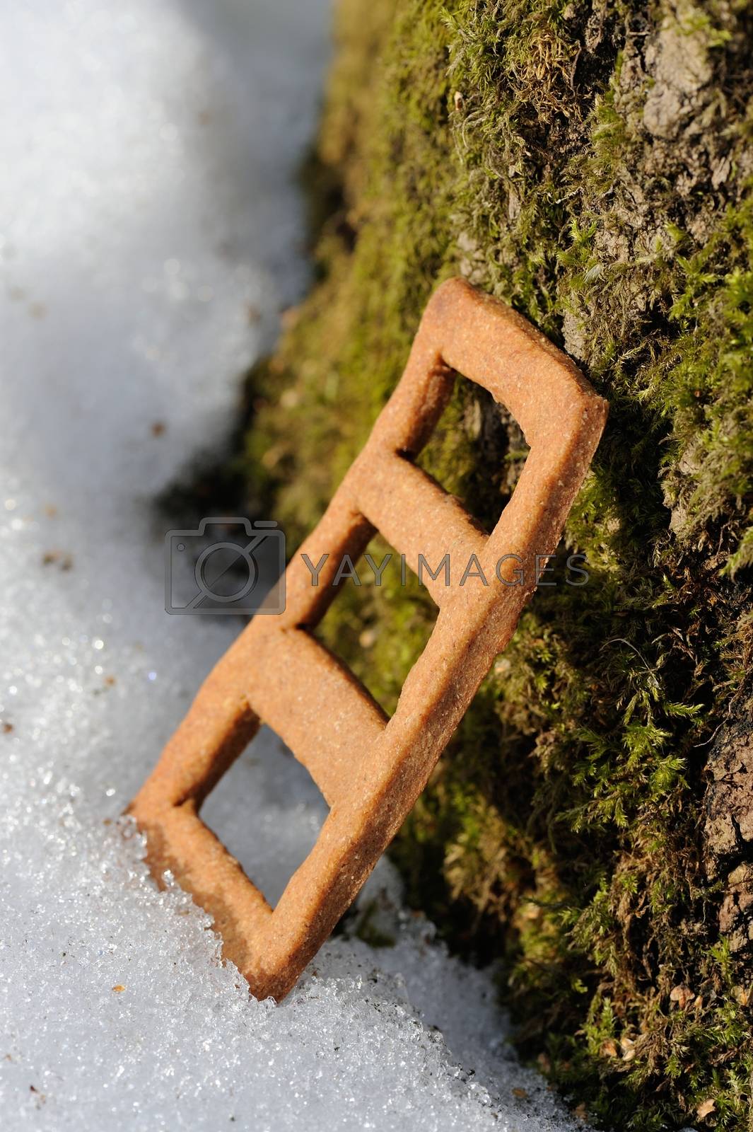 Royalty free image of Lestvitsa, Russian rye festive spring cookie in snow by Borodin