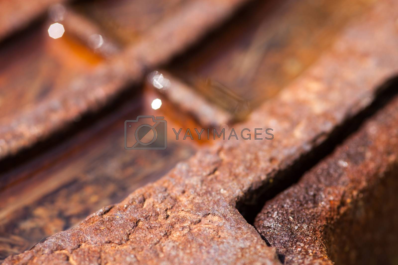Royalty free image of Close up of the rusty metal manhole cover with water by rootstocks