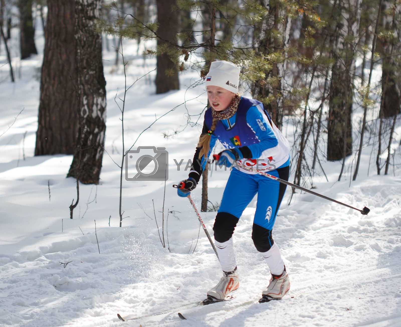 Royalty free image of Cross-country skis by Supertooper