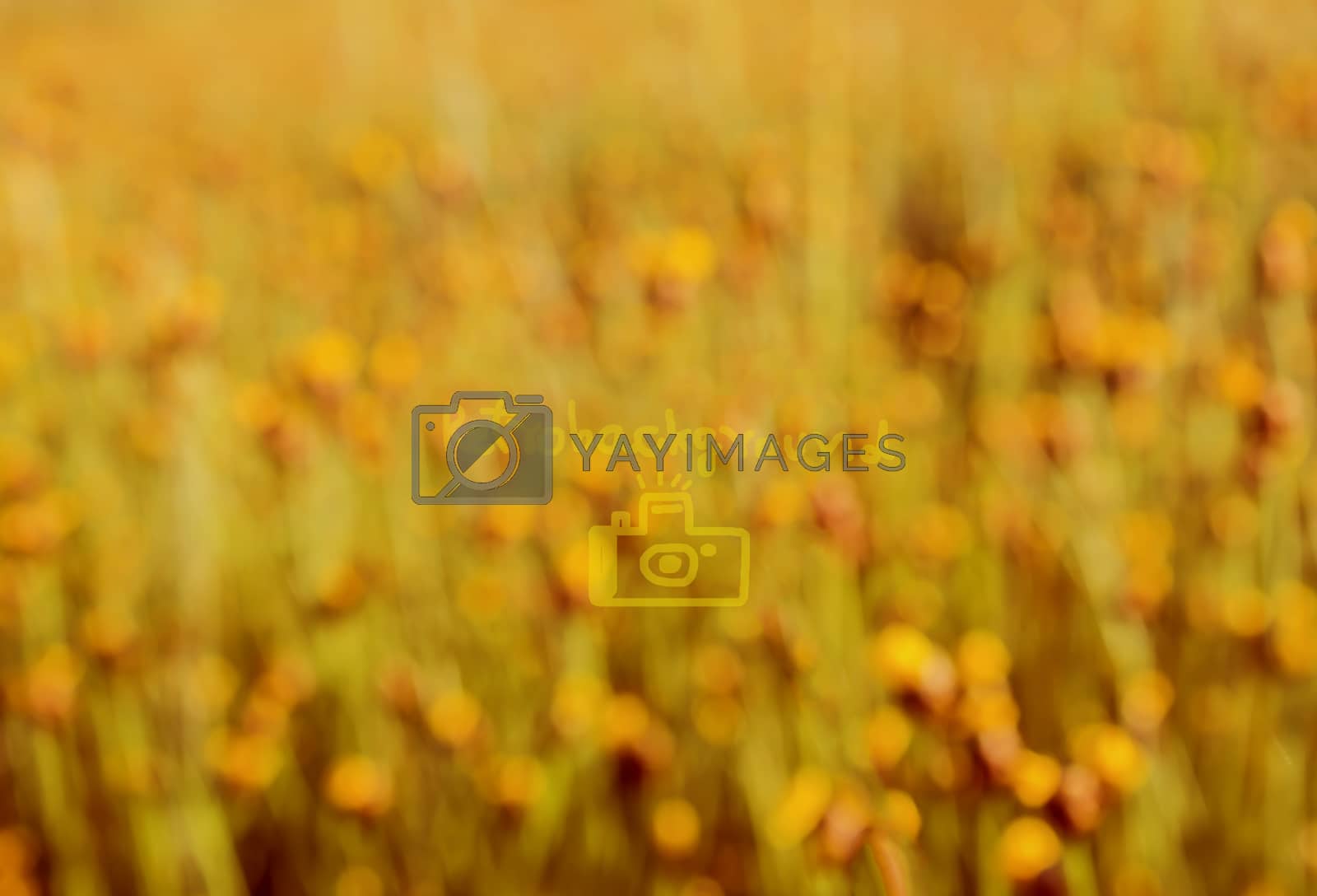 Royalty free image of Blurred nature retro color  background by bugning