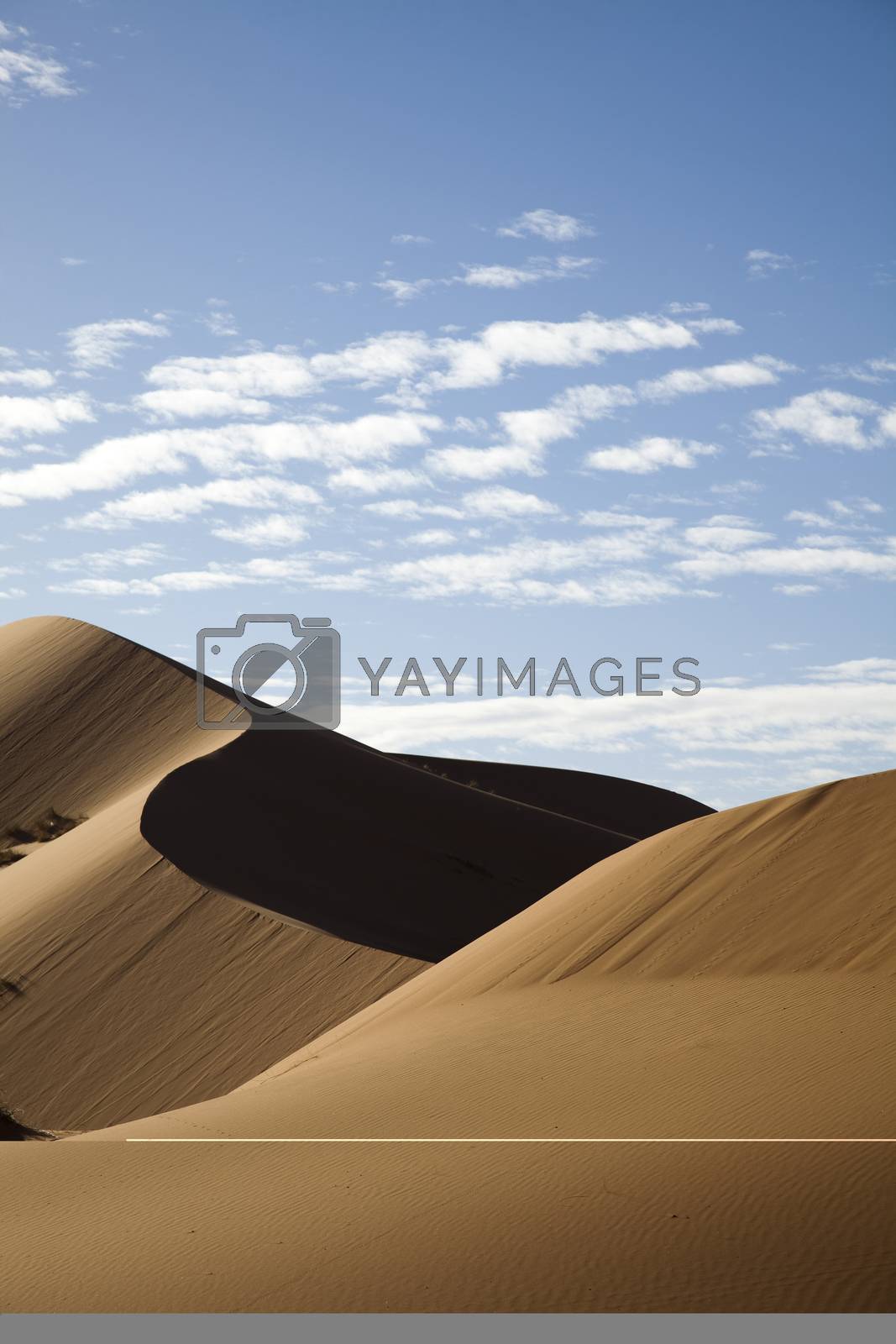 Royalty free image of Landscape of desert, colorful vibrant travel theme by JanPietruszka