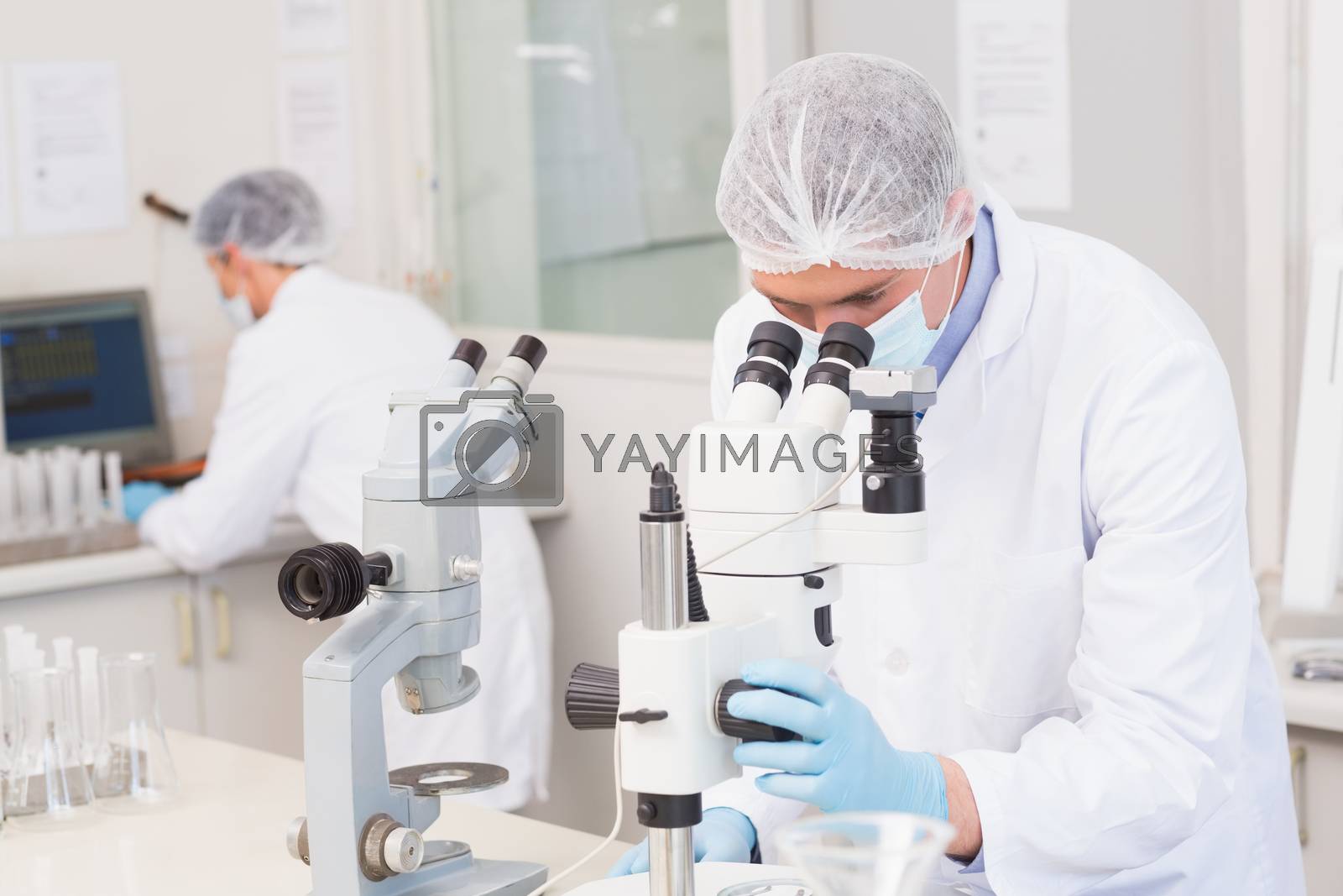 Royalty free image of Scientists working attentively with microscopes by Wavebreakmedia