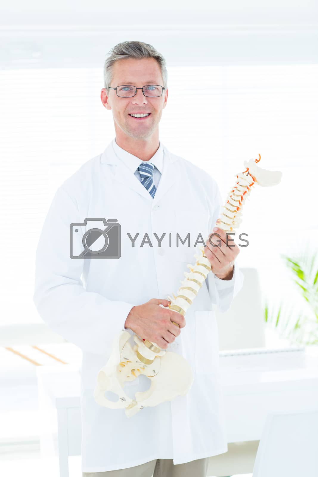 Royalty free image of Doctor showing anatomical spine by Wavebreakmedia