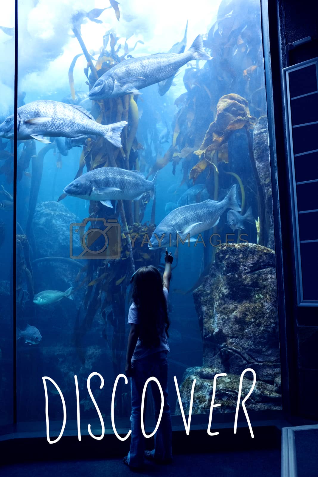 Royalty free image of Composite image of discover by Wavebreakmedia
