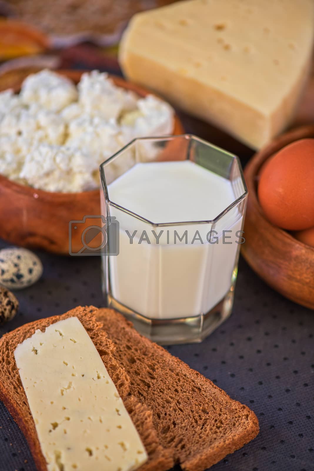 Royalty free image of Dairy products by rusak