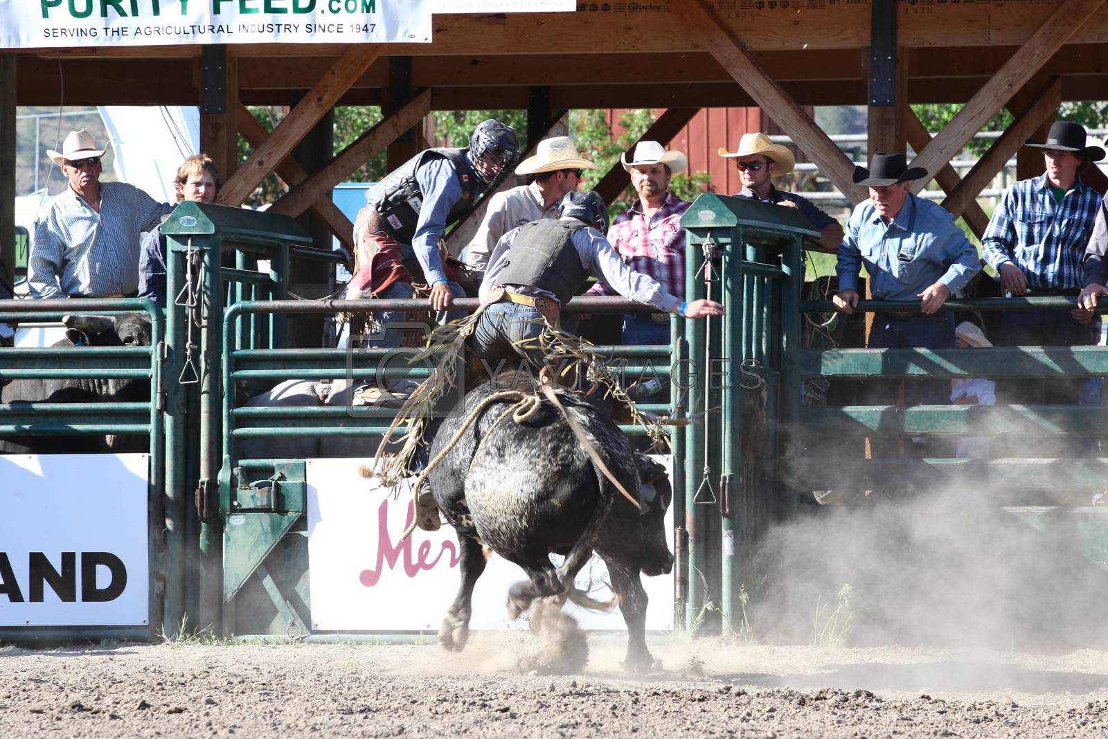 Royalty free image of Ty Pozzobon Invitational PBR by vanell