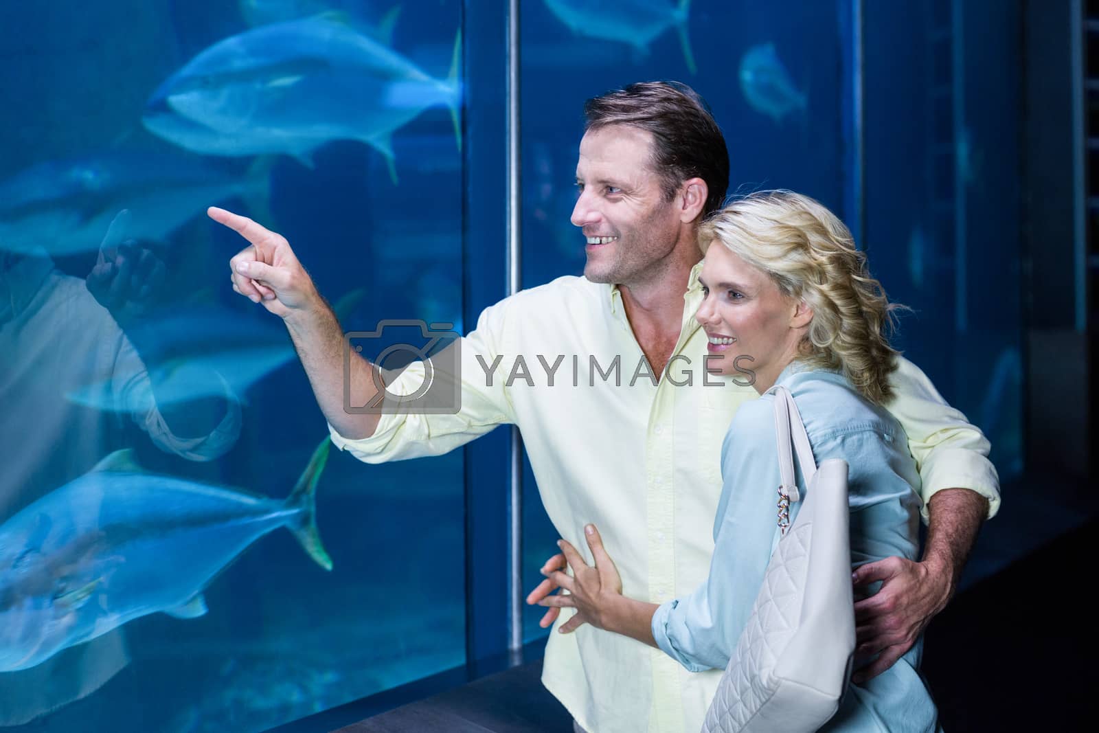 Royalty free image of Happy couple pointing a fish tank by Wavebreakmedia