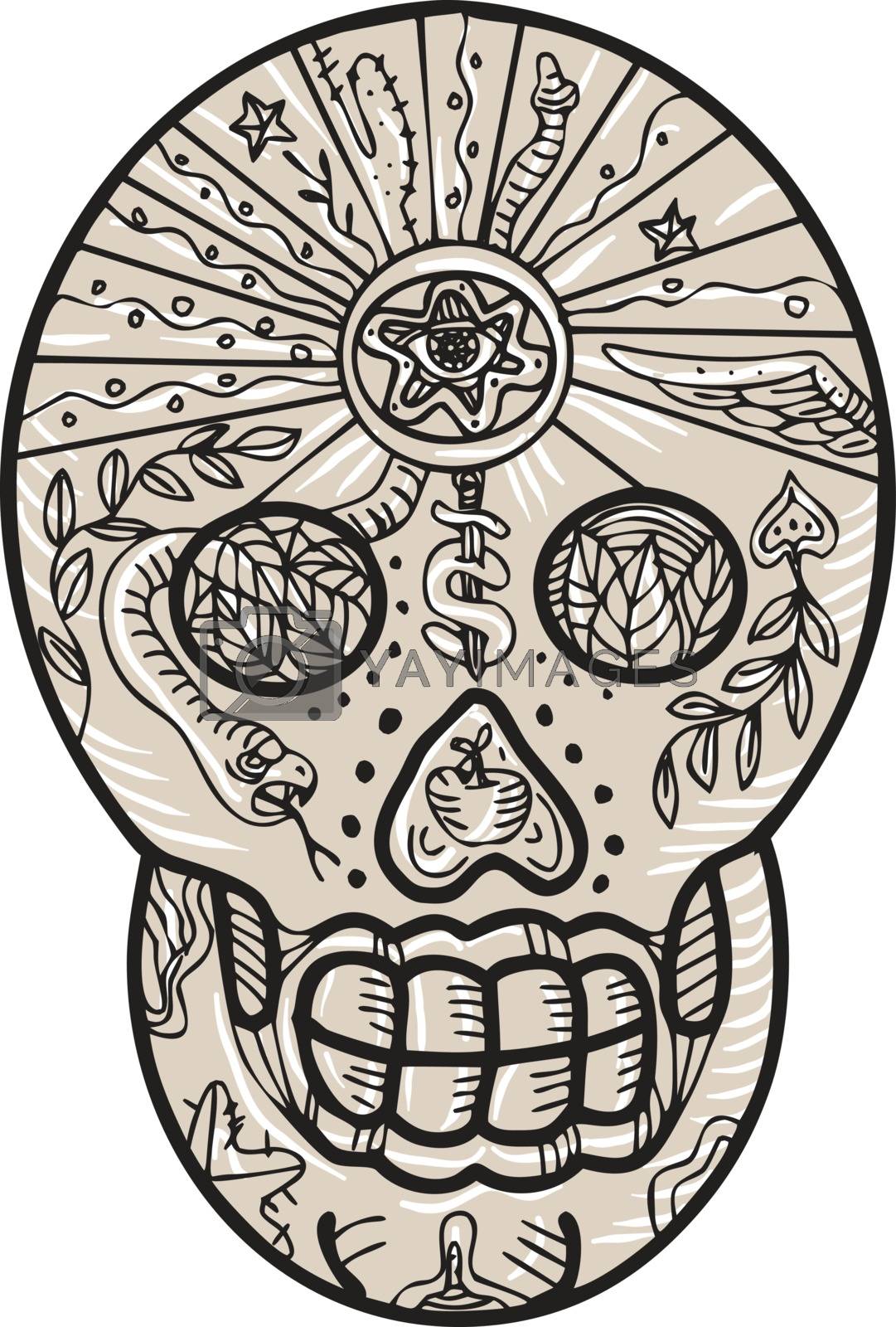 Royalty free image of Sugar Skull Tattoo Etching by patrimonio