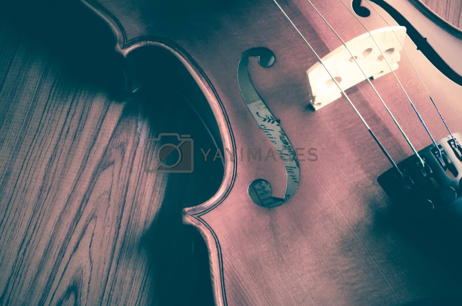 Royalty free image of time to practice violin by ammza12