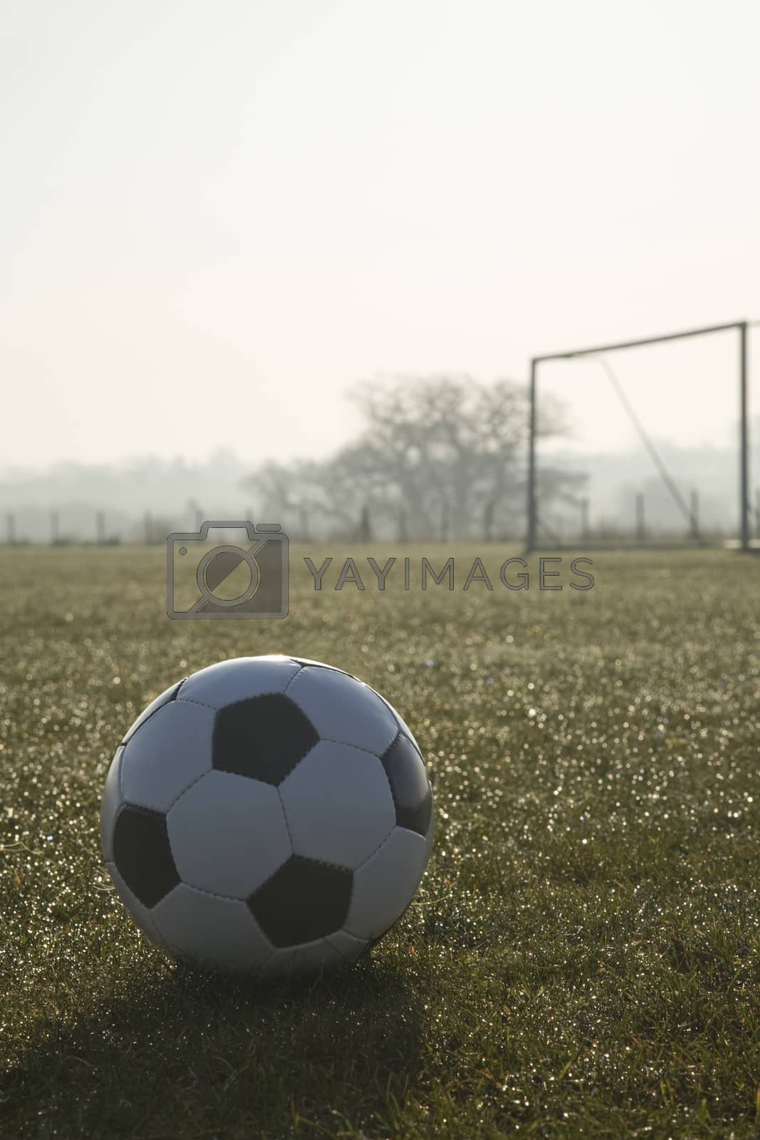 Royalty free image of black and white football on a empty football pitch,frosty winter by littlebloke