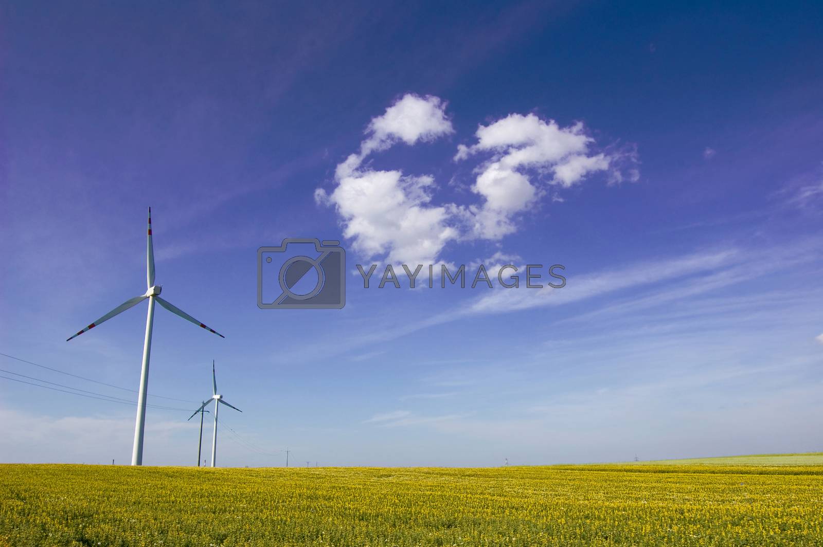 Royalty free image of Windmill conceptual image. by satariel
