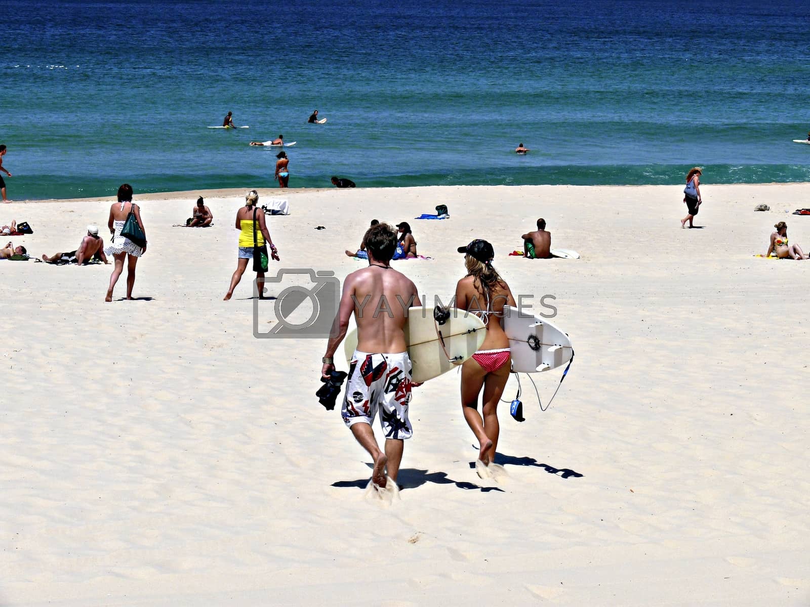Royalty free image of Bondi beach, Sydney Australia by rainerprang@kommunikasjonskompaniet.no