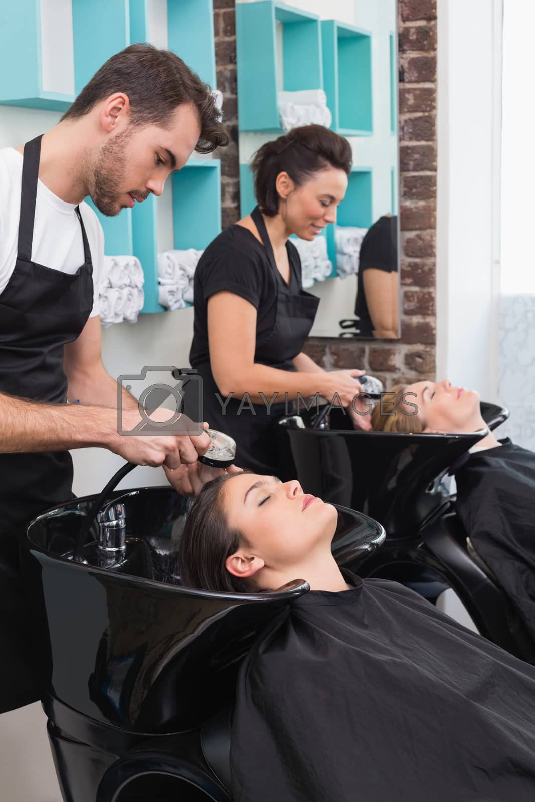 Royalty free image of Hairdressers washing their clients hair by Wavebreakmedia