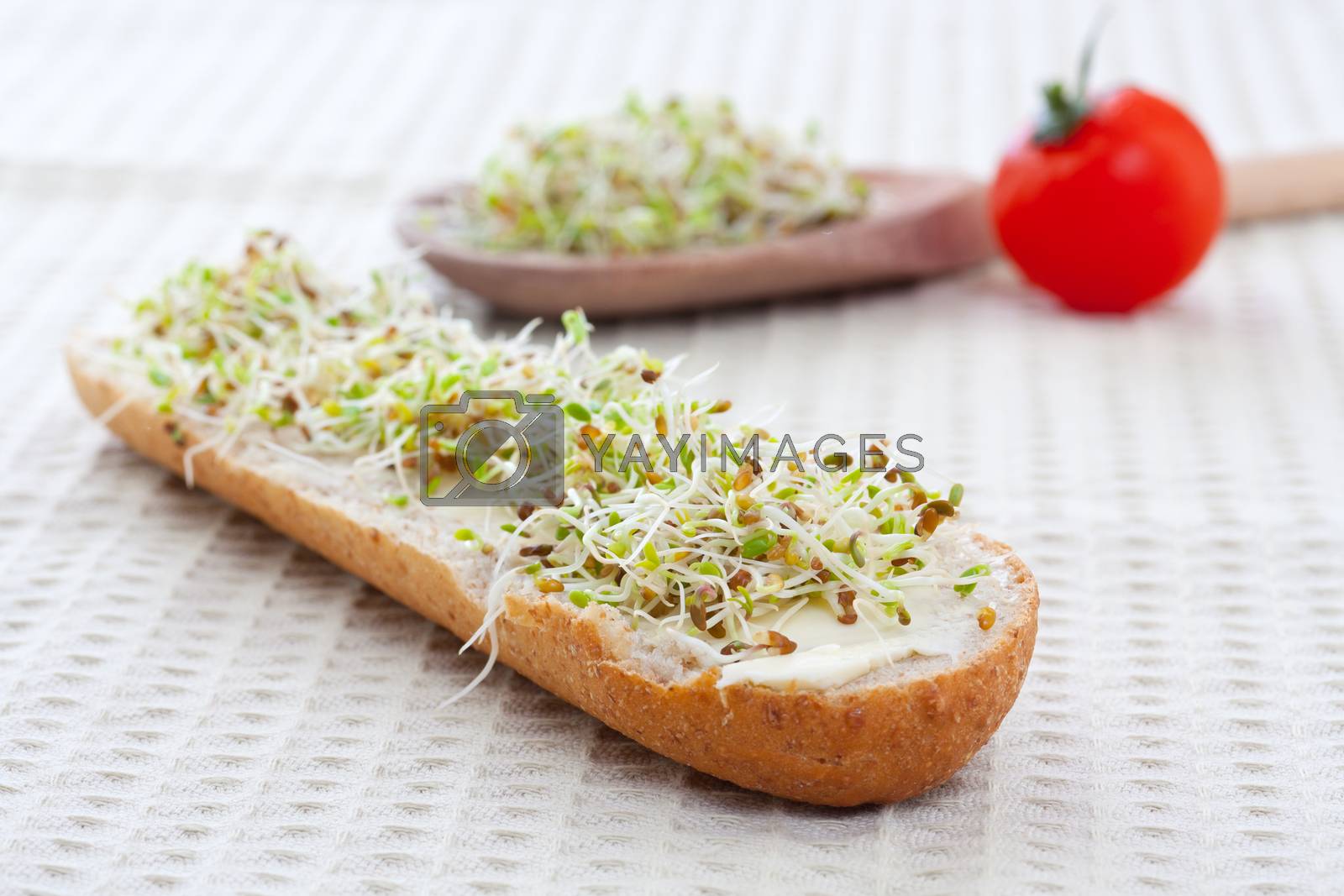 Royalty free image of sprout germ breakfast by grafvision