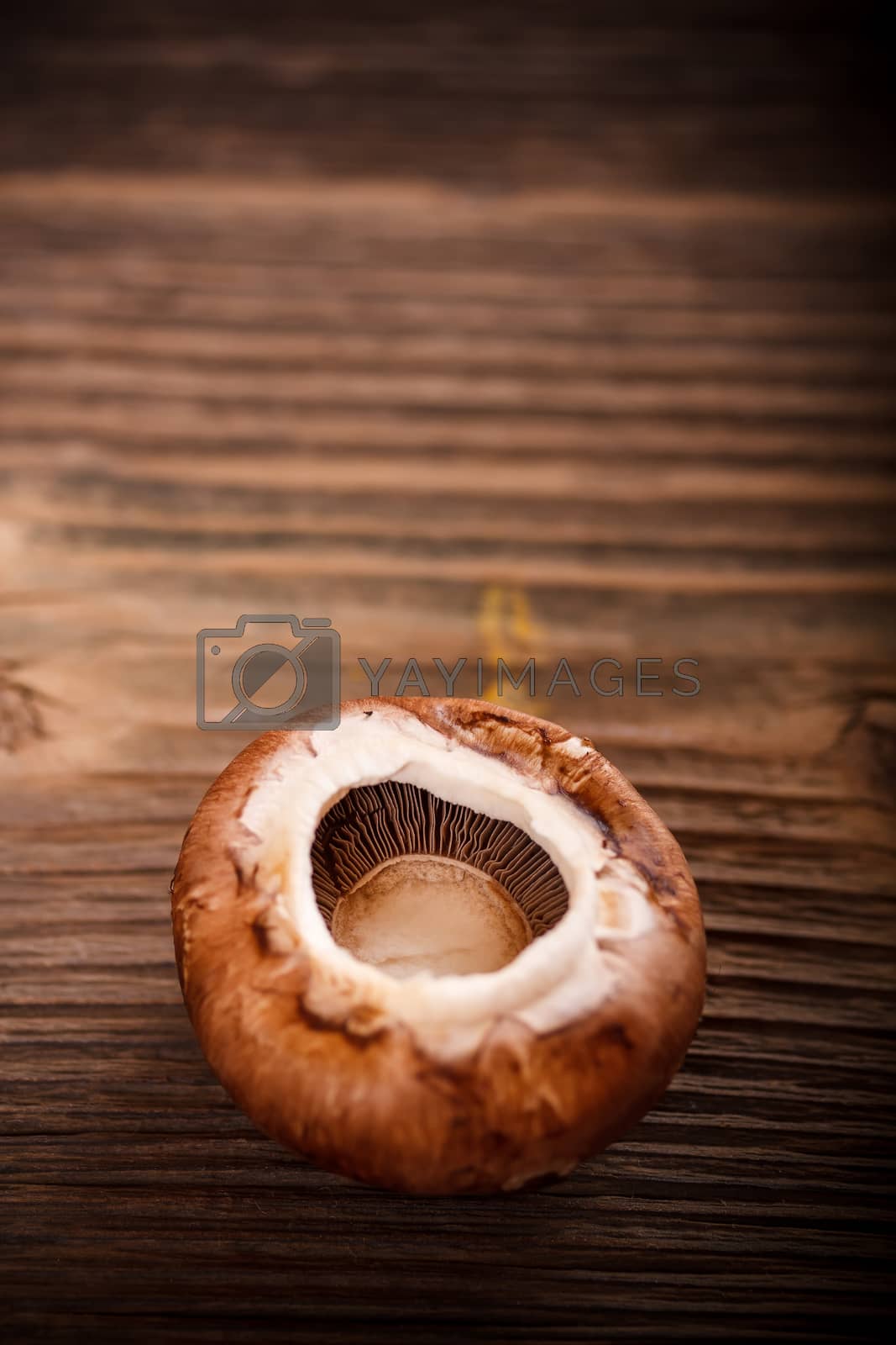 Royalty free image of Brown mushroom by grafvision