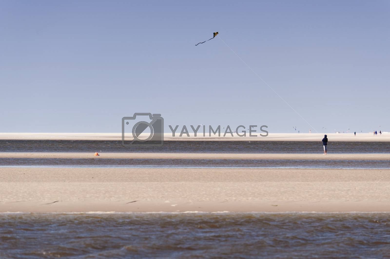 Royalty free image of On the Beach of St. Peter-Ording in Germany by 3quarks