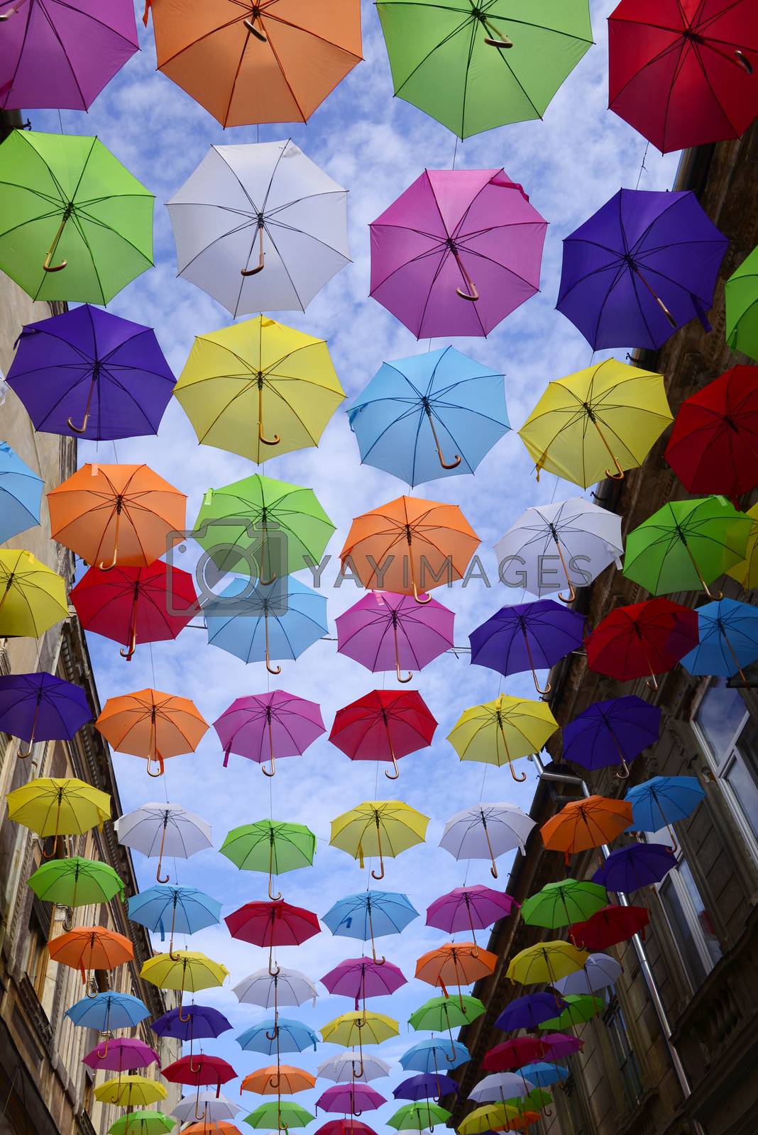 Royalty free image of Umbrella sky by tony4urban