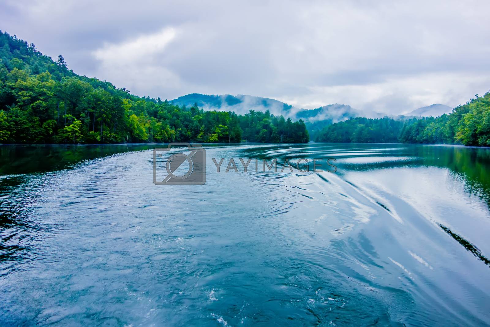 Royalty free image of lake santeetlah scenery in great smoky mountains by digidreamgrafix