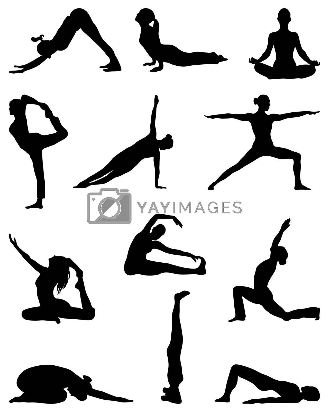 Royalty free image of yoga by ratkomat