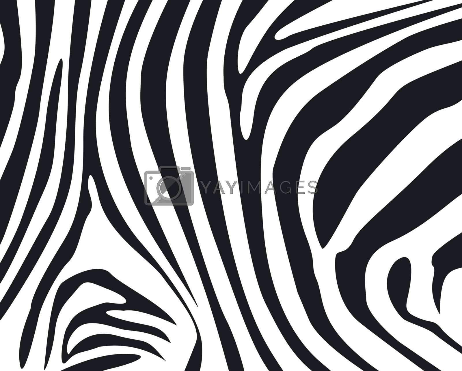 Royalty free image of zebra skin textured background by anankkml