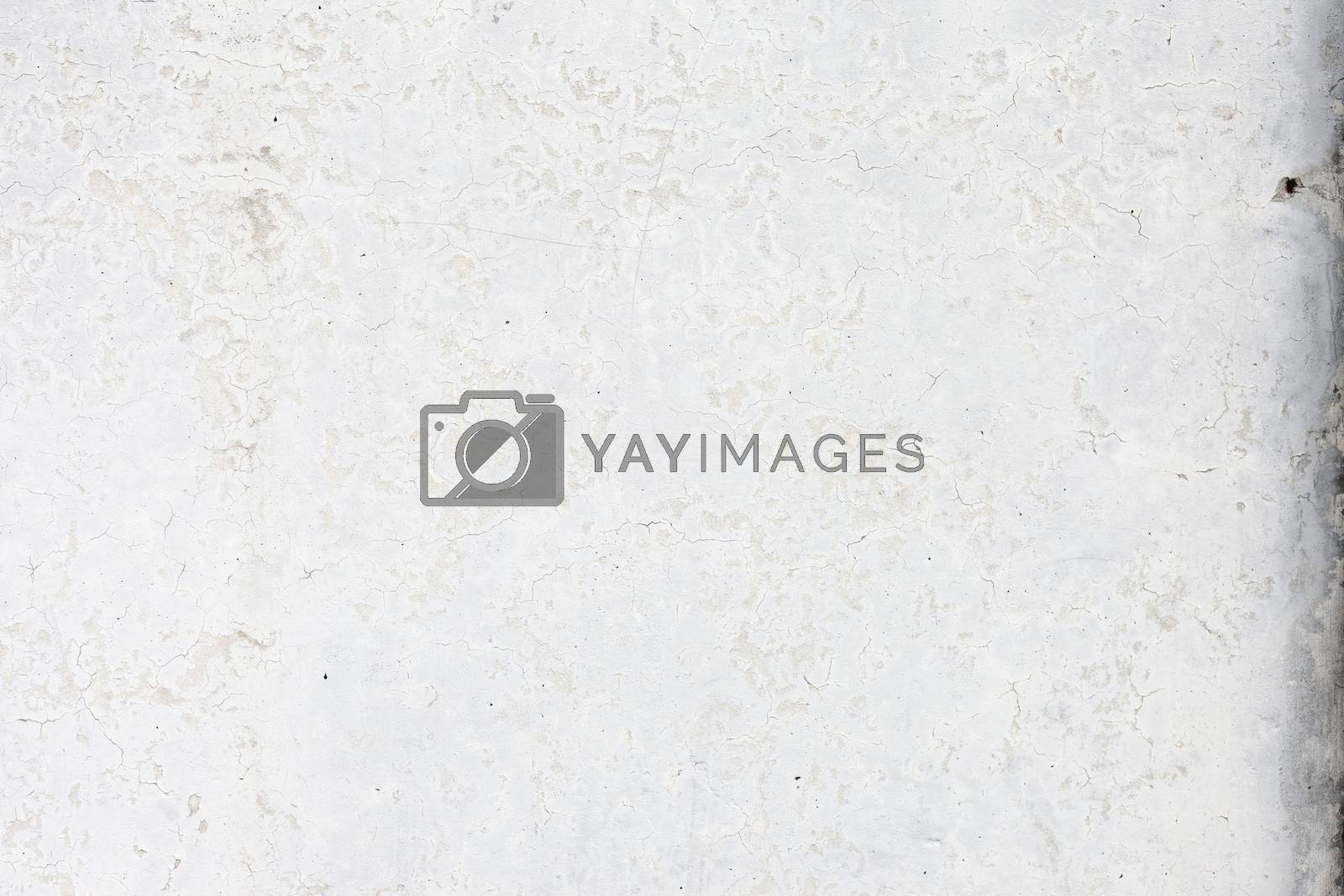 Royalty free image of Grungy white concrete wall background by H2Oshka