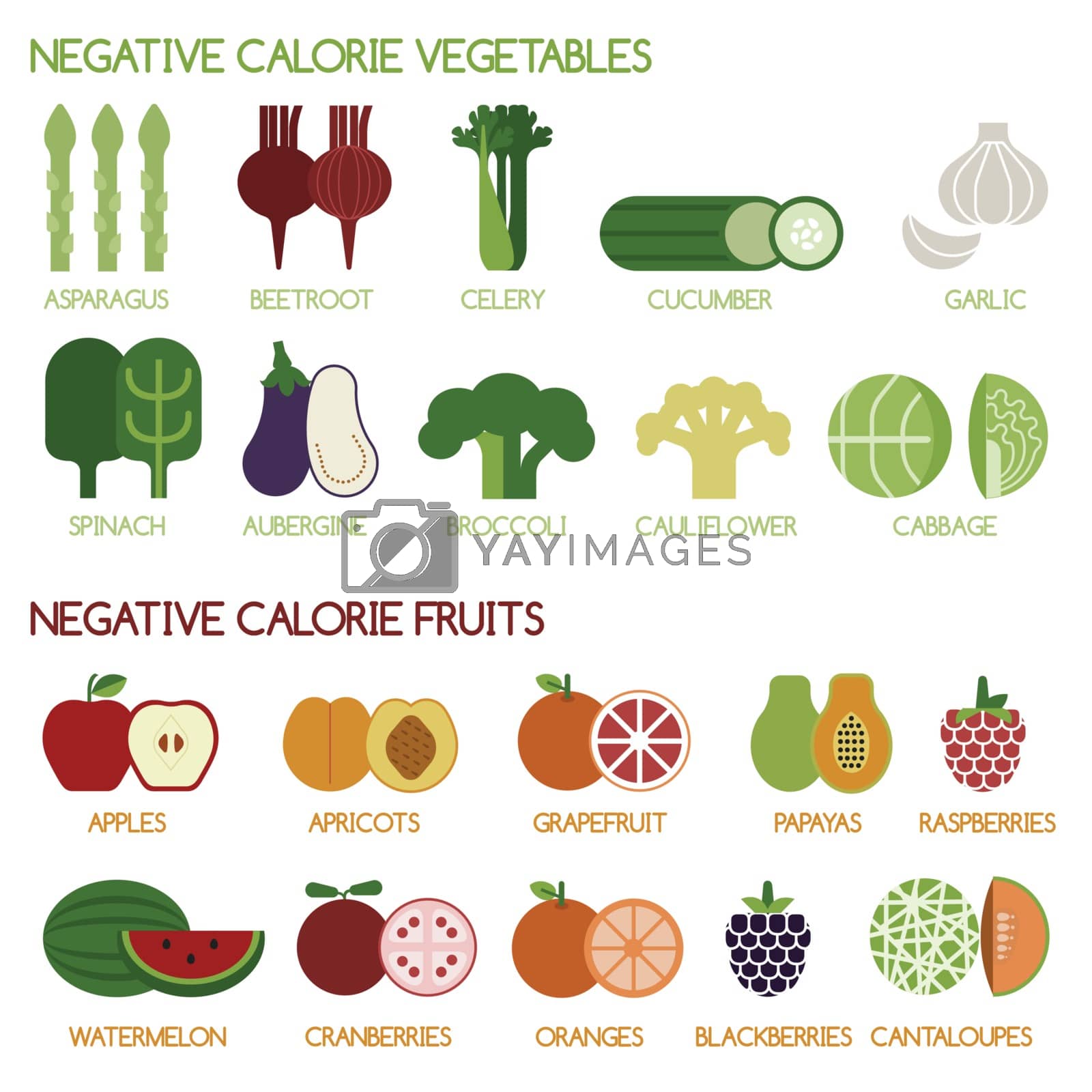 Royalty free image of Negative calorie vegetables and fruits by kninwong