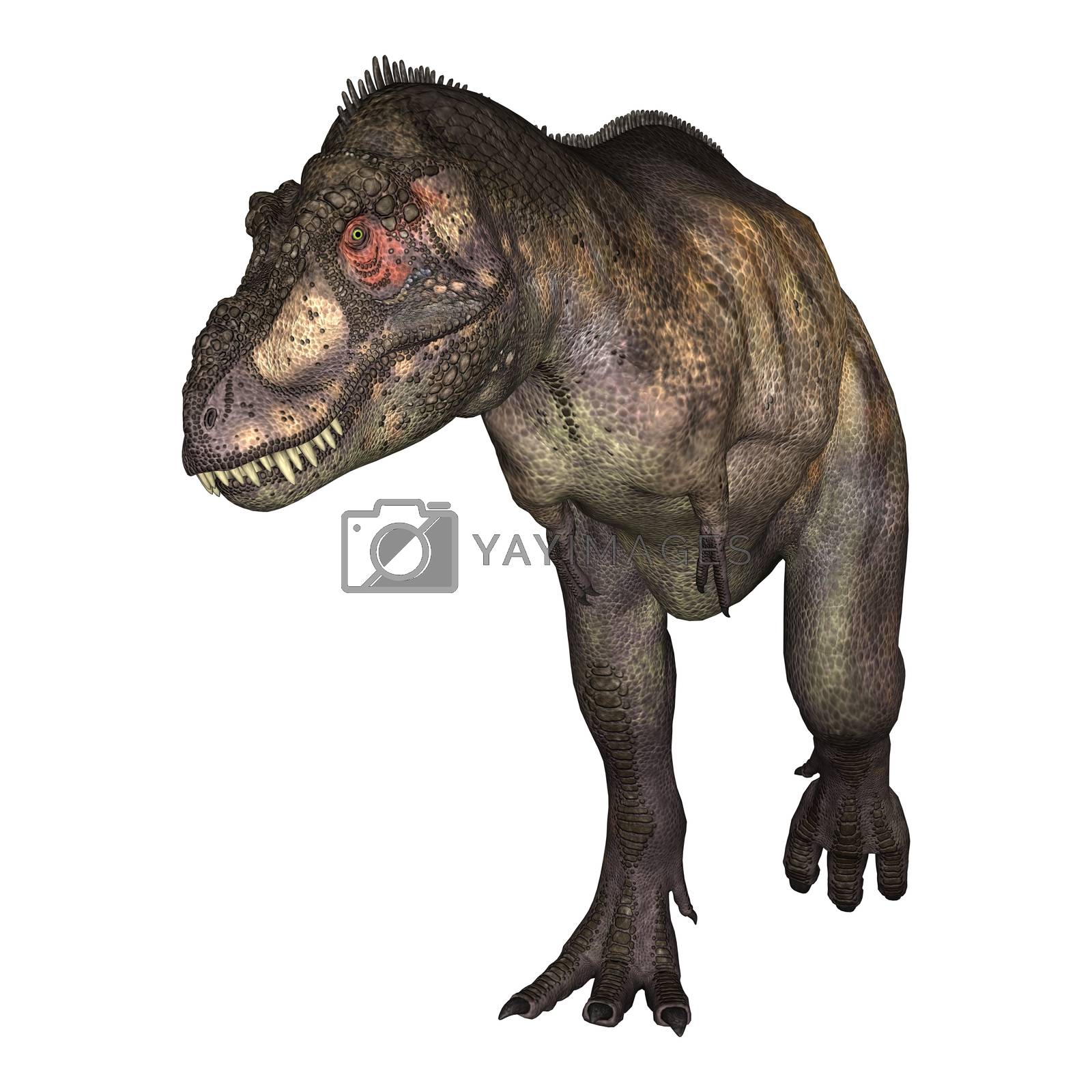 Royalty free image of Dinosaur Tyrannosaurus by Vac