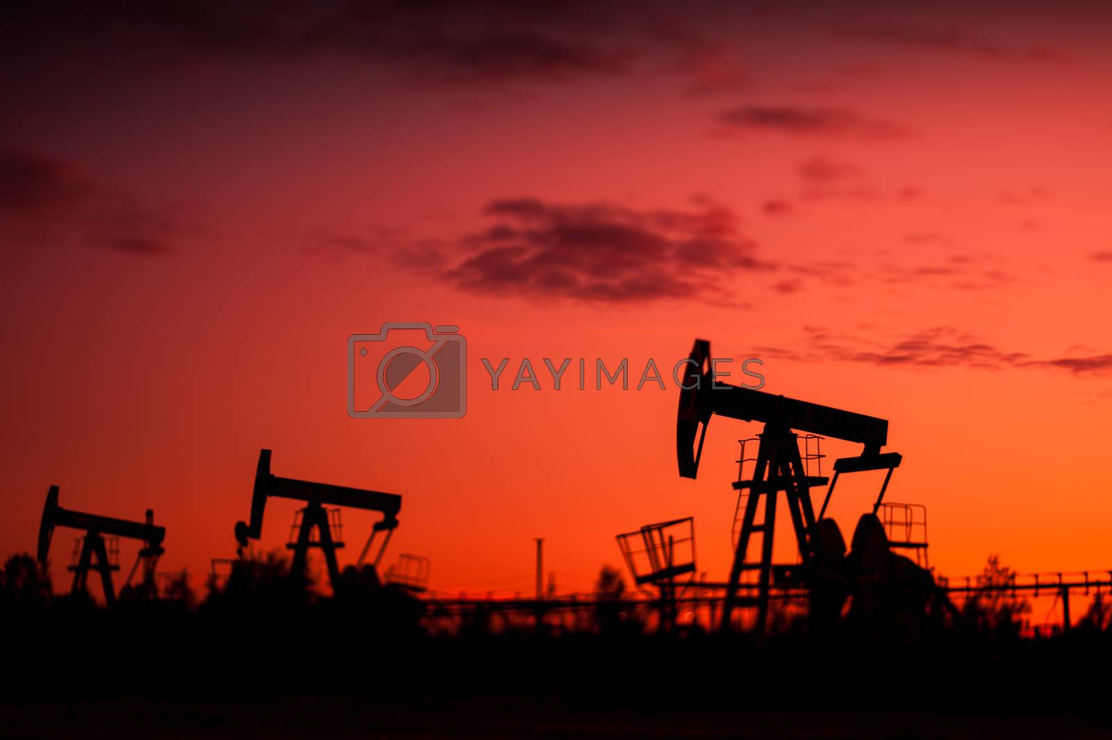 Royalty free image of Oil pumps. by bashta