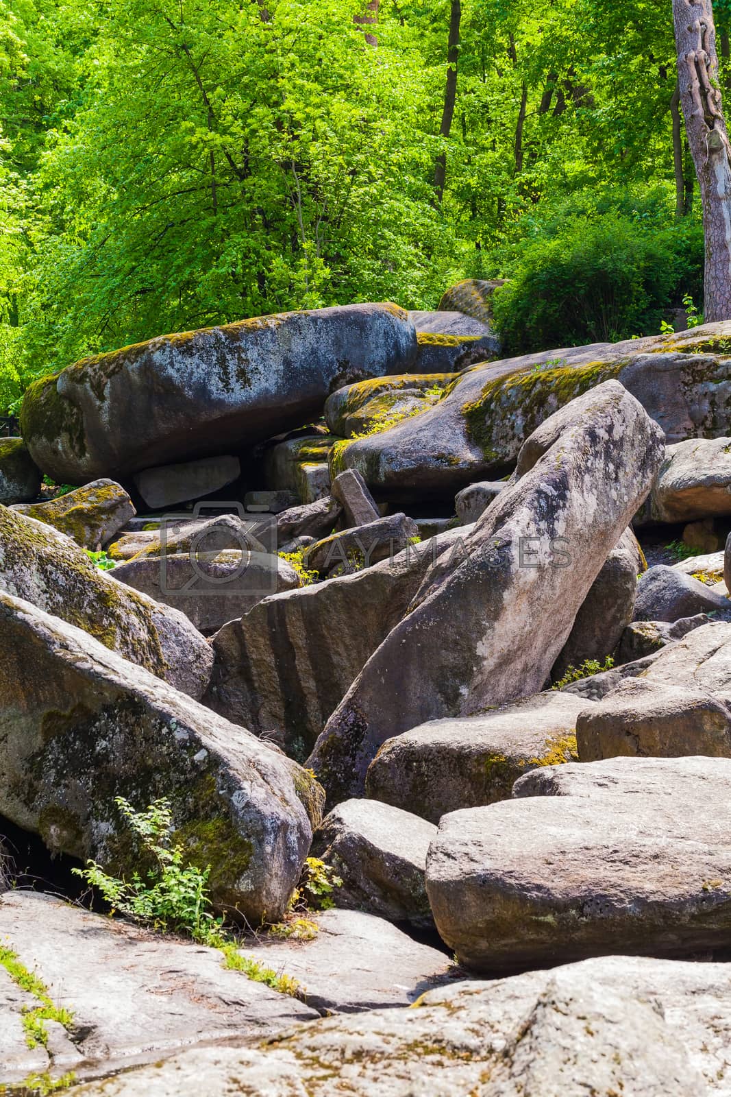 Royalty free image of rocky boulders by MegaArt