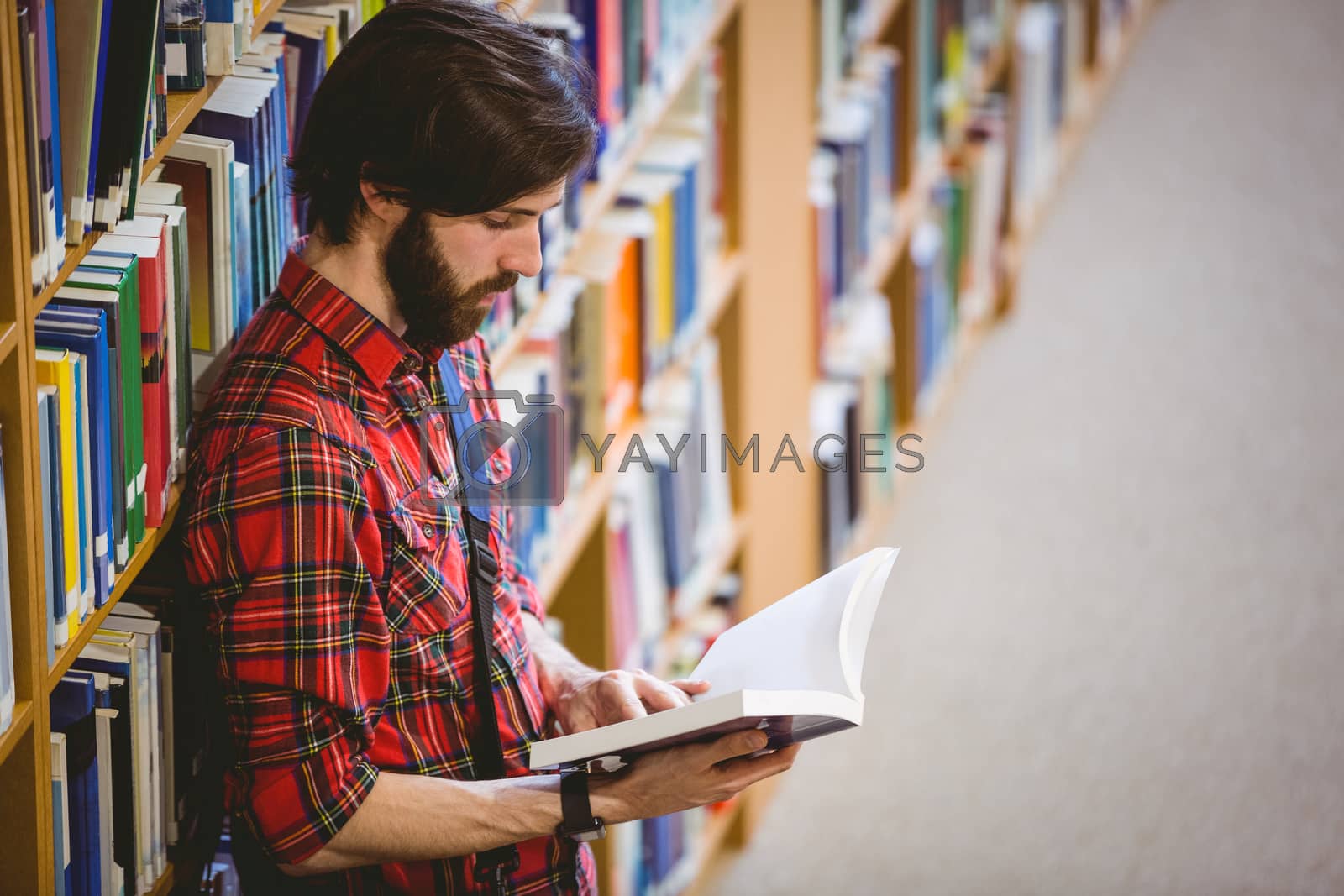 Royalty free image of Student reading a book from shelf in library by Wavebreakmedia