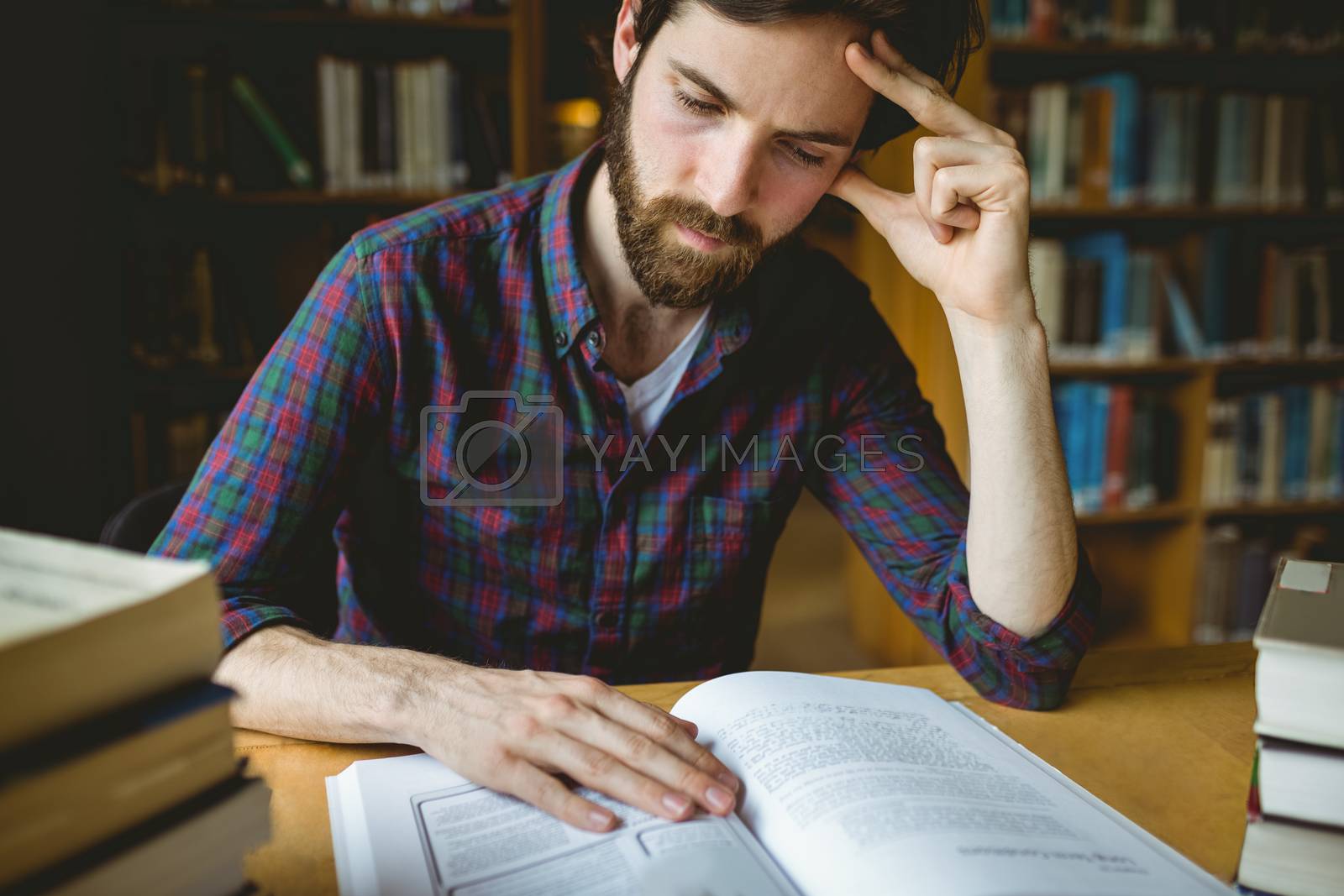 Royalty free image of Hipster student studying in library by Wavebreakmedia