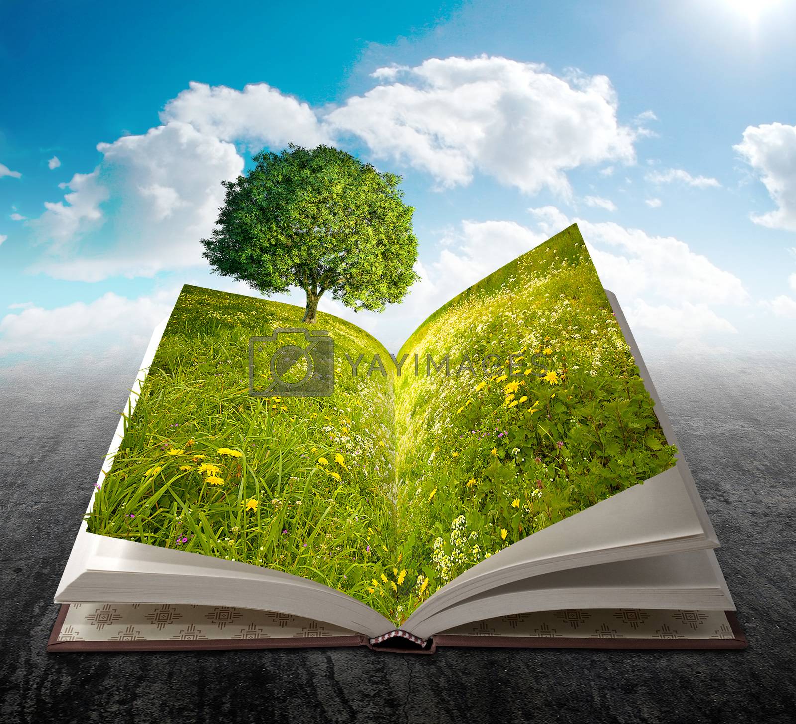 Royalty free image of Nature book by jordygraph