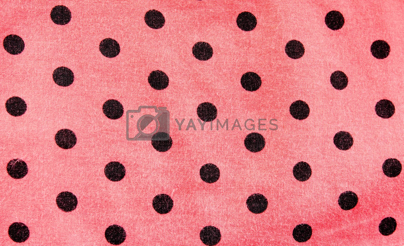 Royalty free image of Polka Dots by aoo3771