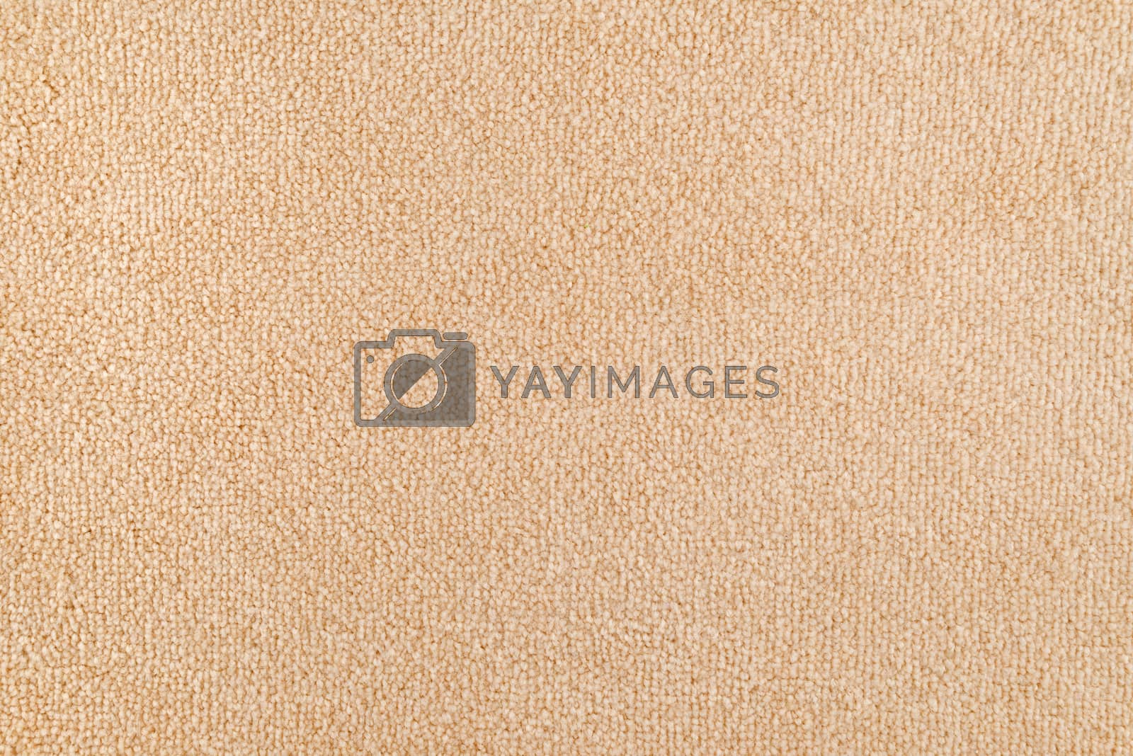 Royalty free image of New beige carpet texture by stevanovicigor