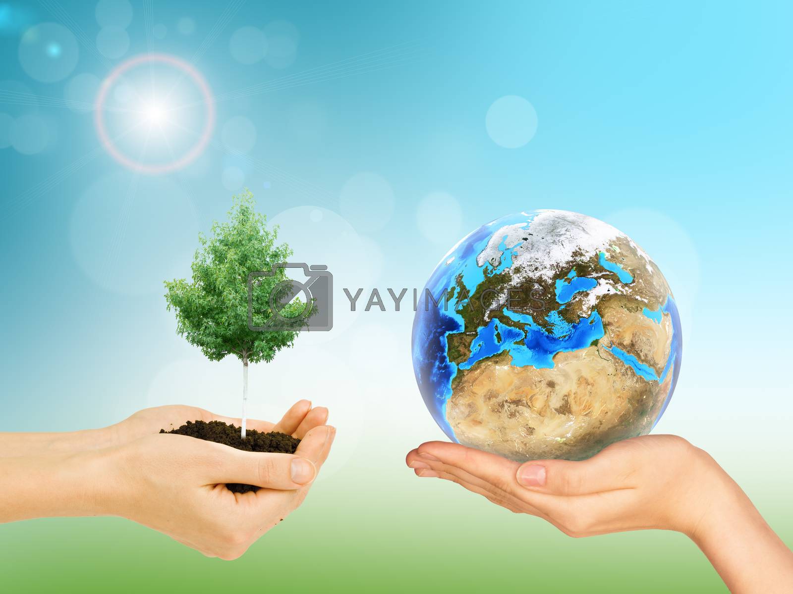 Royalty free image of Womans hands with green tree and Earth by cherezoff