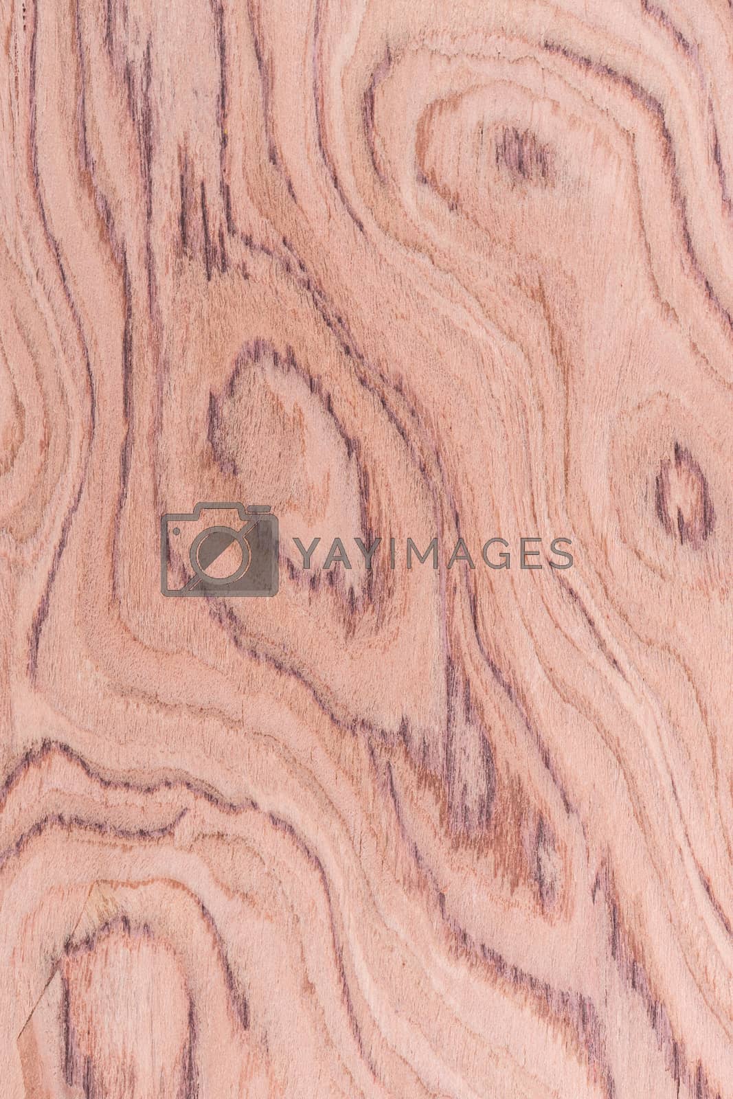 Royalty free image of Wood texture by jeonhae