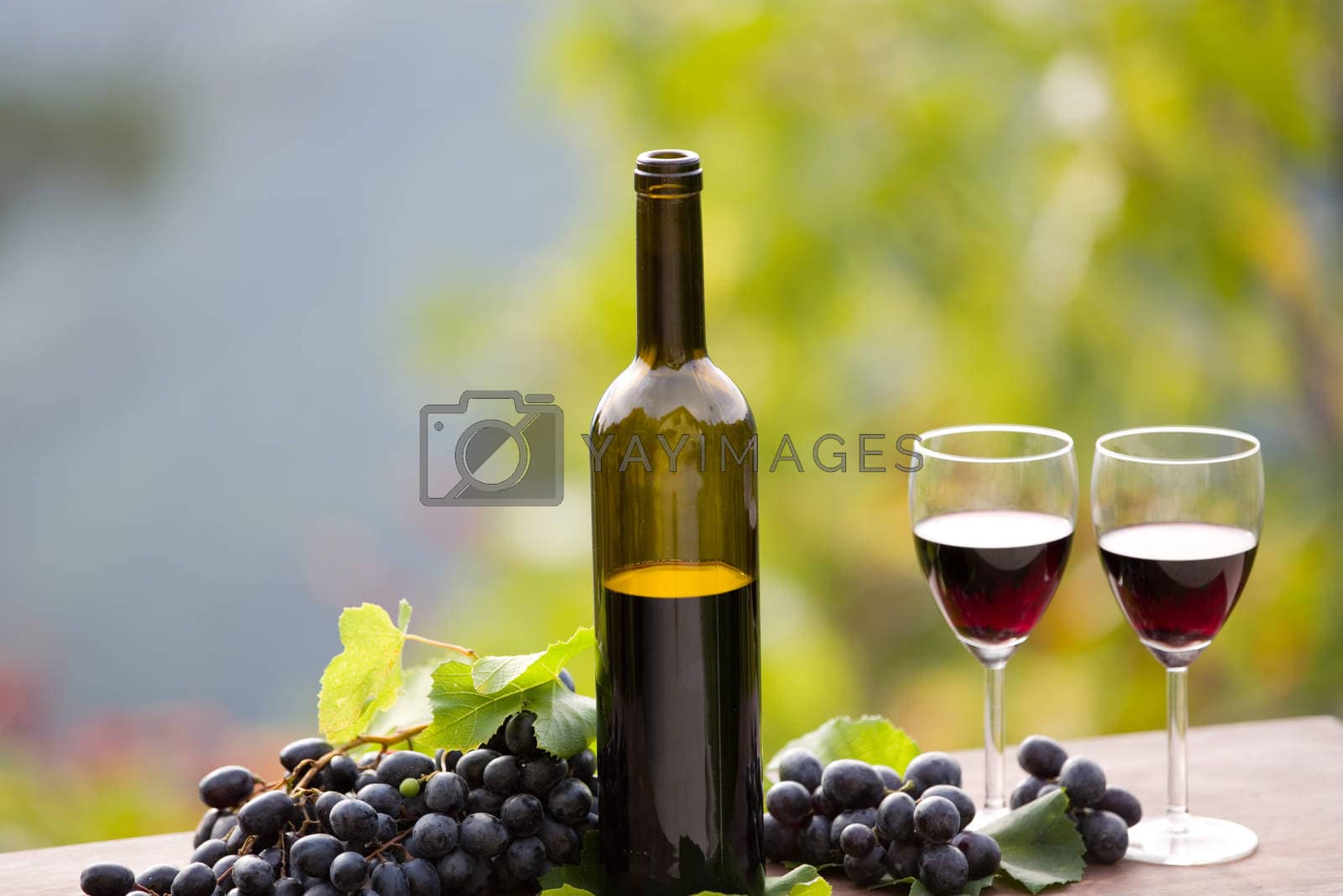Royalty free image of Red wine by zittto