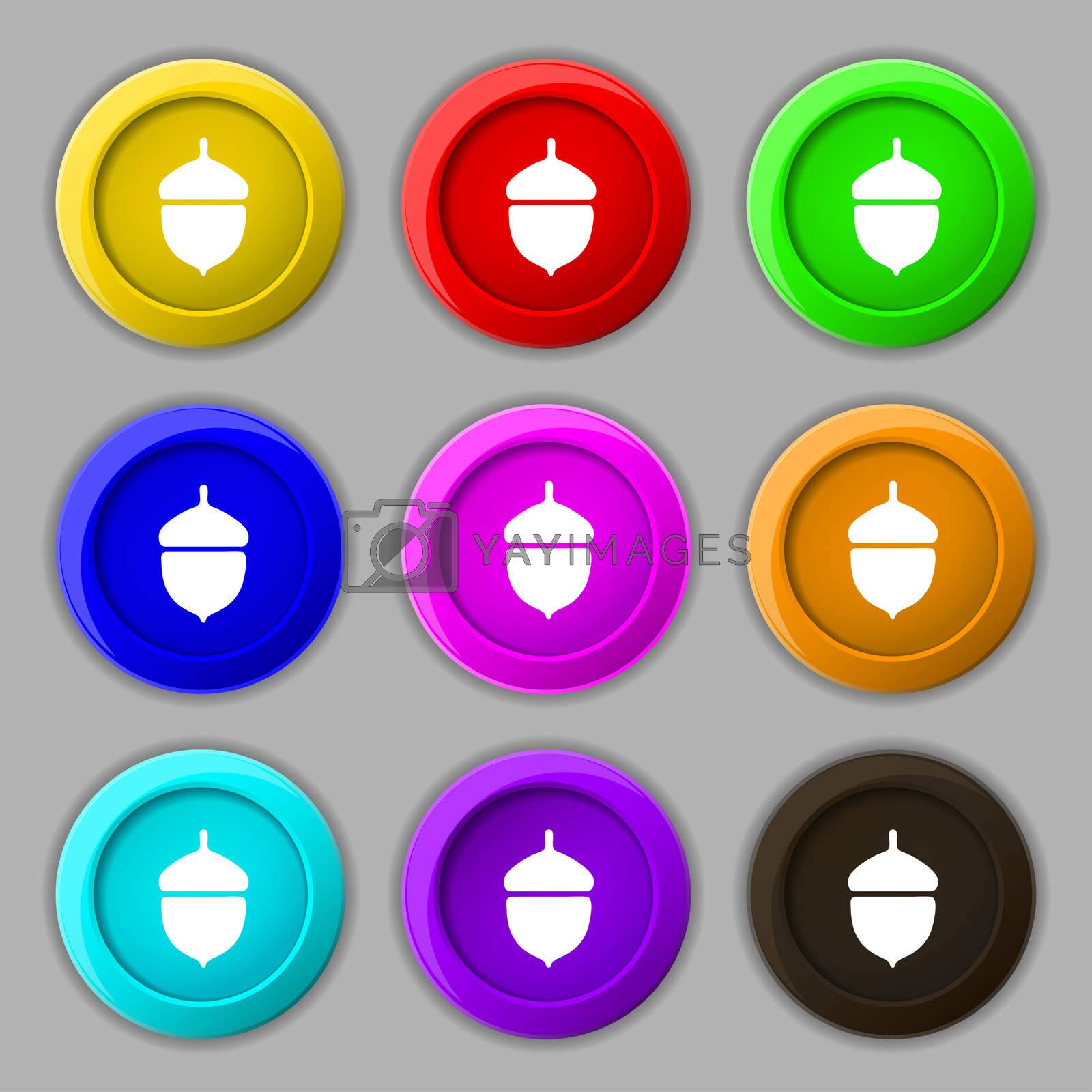 Royalty free image of Acorn icon sign. symbol on nine round colourful buttons.  by serhii_lohvyniuk