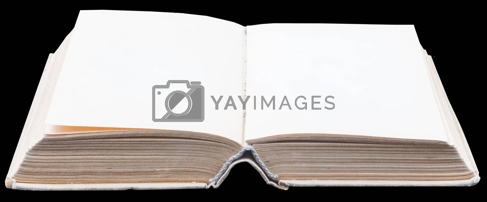 Royalty free image of Open book with empty leaves by cherezoff