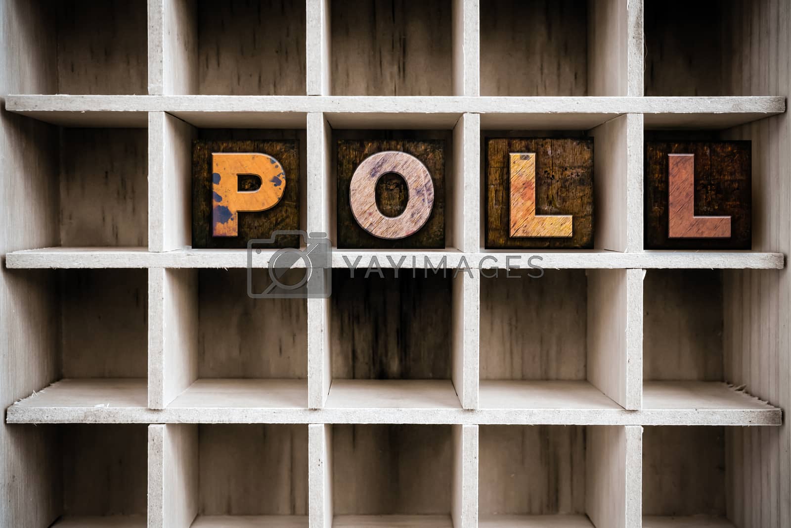 Royalty free image of Poll Concept Wooden Letterpress Type in Drawer by enterlinedesign