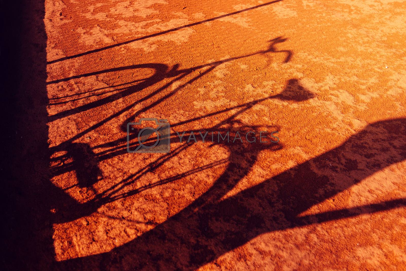 Royalty free image of Vintage bicycle shadow by stevanovicigor