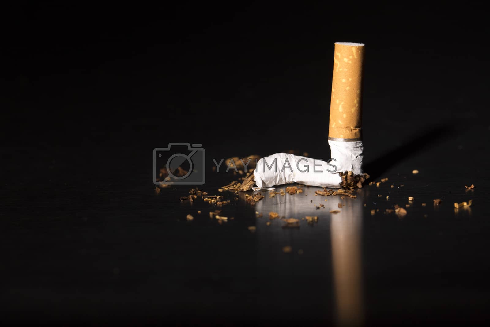 Royalty free image of closeup broken cigarette stop smoking by CatherineL-Prod