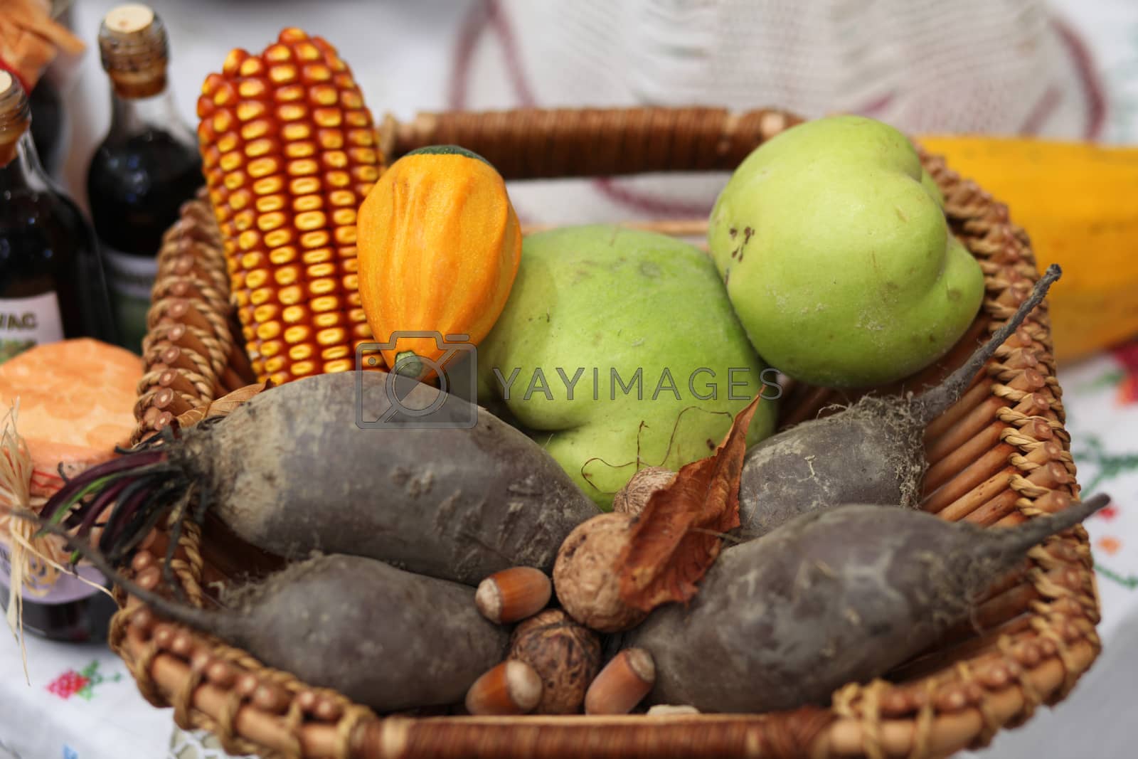 Royalty free image of Autumn Harvest by atlas