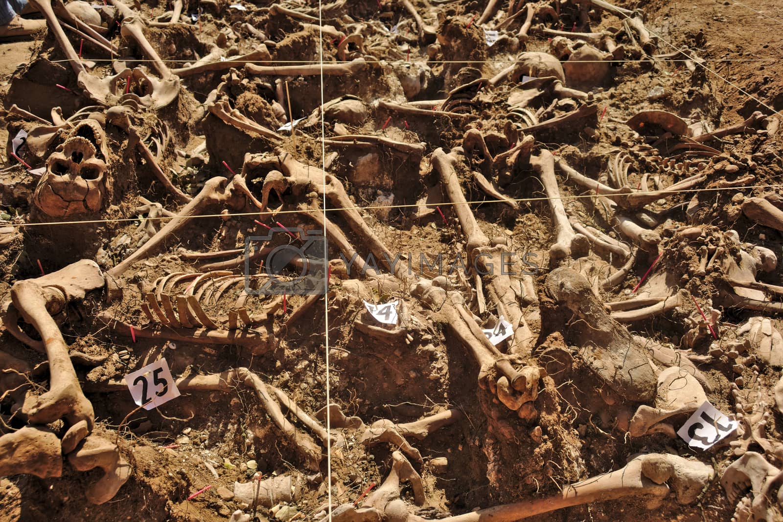Royalty free image of Mass grave of the Spanish Civil War (1936) by antecessor