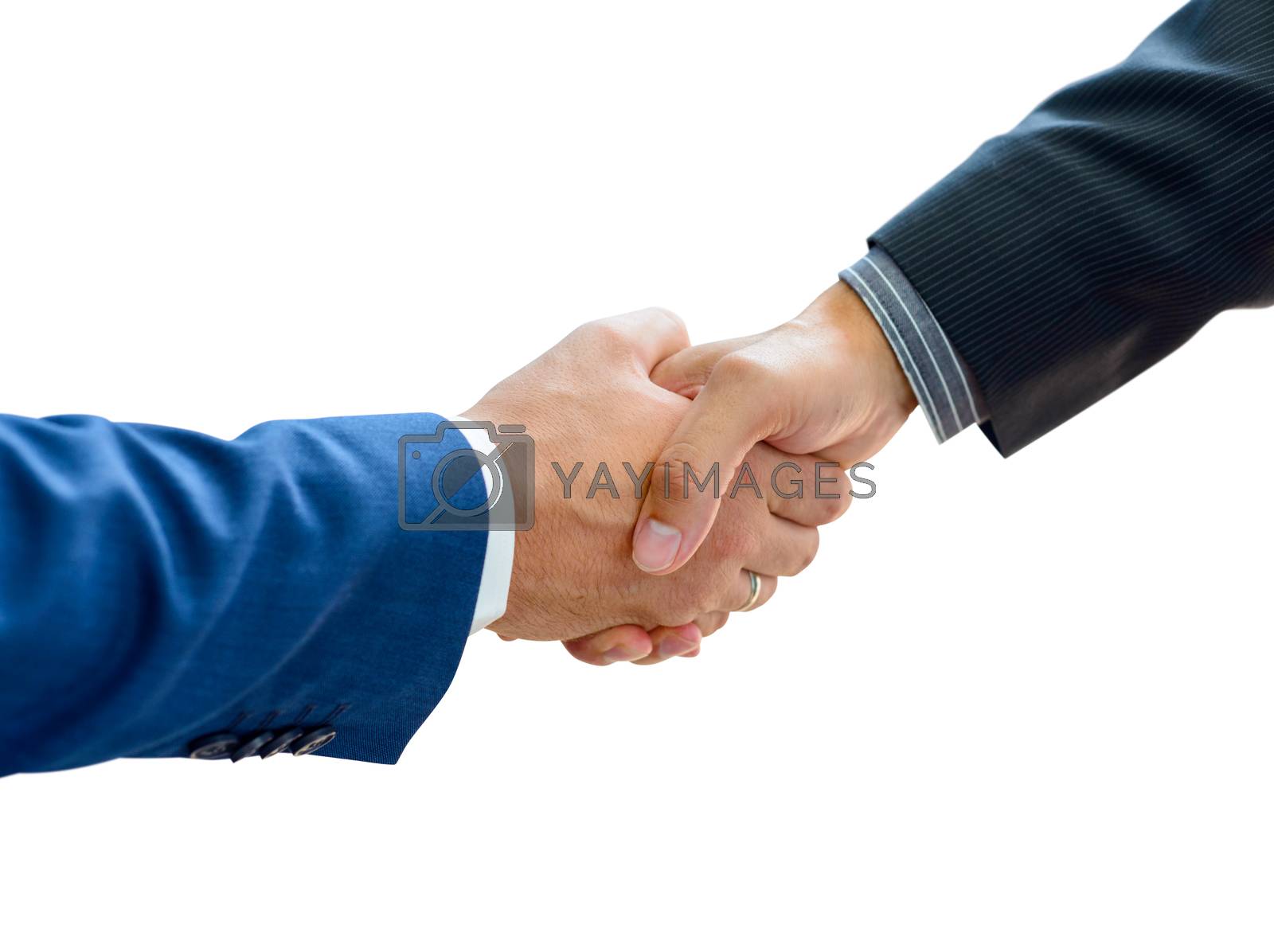 Royalty free image of Business People Shaking Hands on the White Background Close-up by maxpro