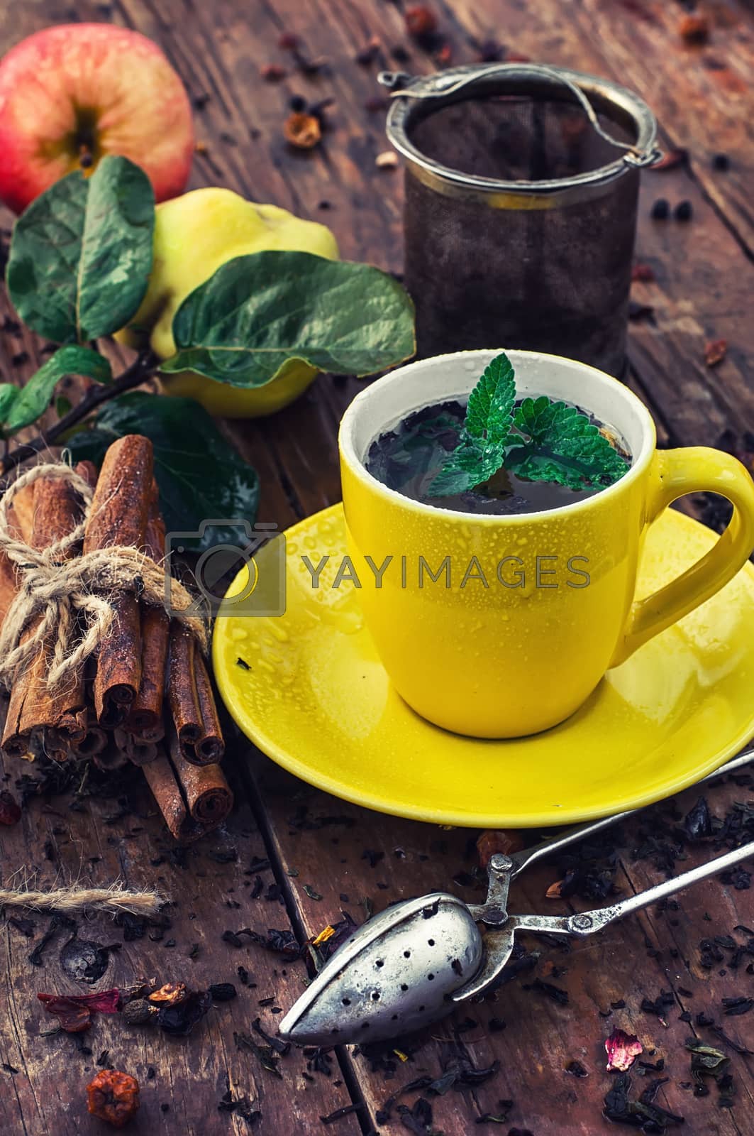 Royalty free image of brew tea by LMykola